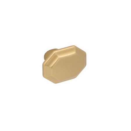 Knob Brass Matt Evolve series 832 38x28mm